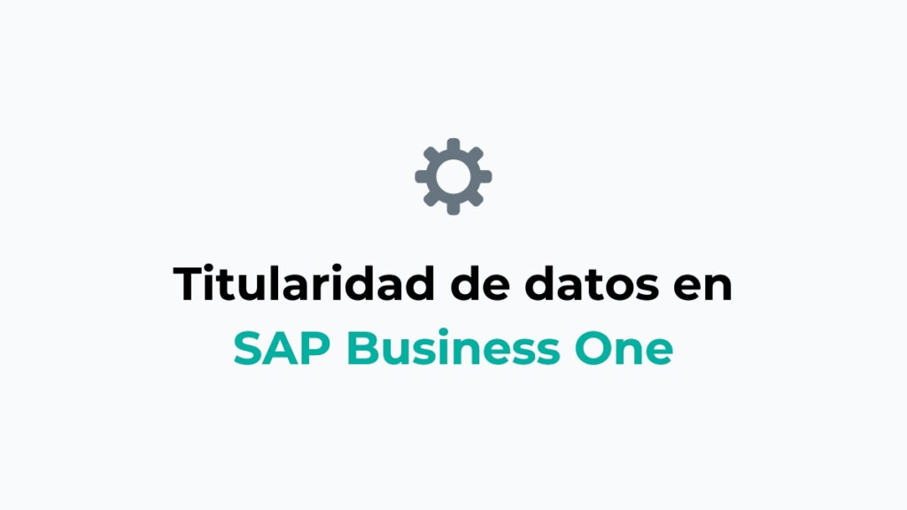 Qué es y como funciona la titularidad de datos en SAP Business One
