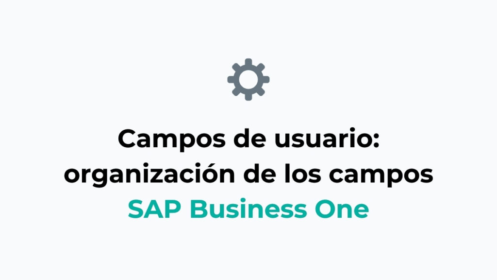 Cómo organizar los campos de usuario en SAP Business One